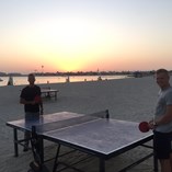 sunset ping pong